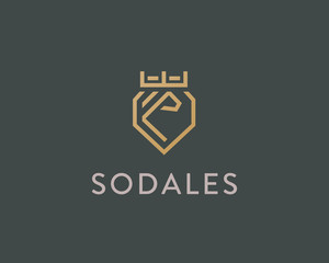 Lion crown shield vector logotype. Linear premium logo.