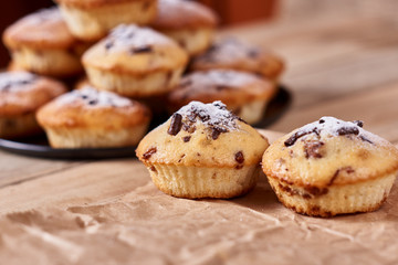 The two cupcakes with chocolate chips with powdered sugar lie on a kraft paper next to other cupcakes in a black baking sheet, on a wooden background. Close-up