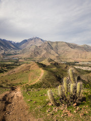 Cactus, mountains and valleys near Vicuña Vicuna city. Elqui Valley in Chile