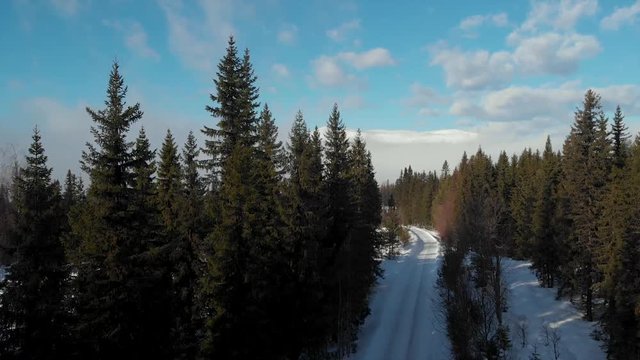 Camera rises to reveal mountain over the trees and fog, in Trysil