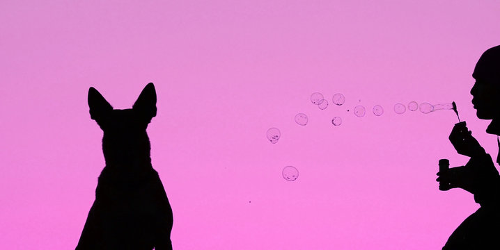 girl blows soap bubbles on a bright purple background, fashionable background, girl  and dog silhouettes