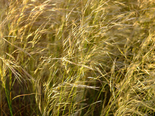 Windhoek, Namibia, Africa