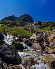 Fototapeta na wymiar The river flows among the stones from the mountain in the surroundings of Dombai. The Caucasus Mountains on a summer, clear day. Tourie Lake.