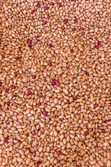 Dried Beans Closeup in an Italian Market