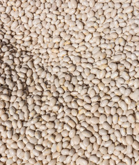 Dried Peas Closeup in an Italian Market