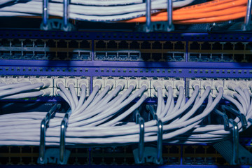Close up on a RJ45 panel in a computer data center © Toonix