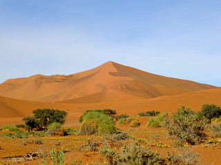 Dune, Sand, Desert, Windhoek, Namibia, Africa