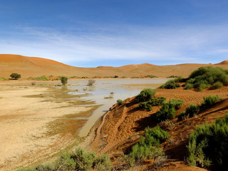 Dune, Sand, Desert, Windhoek, Namibia, Africa