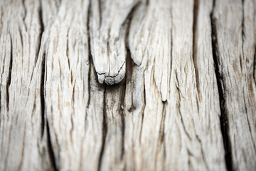 Old wood with beautiful patterns Used in gardening and Used as a background image