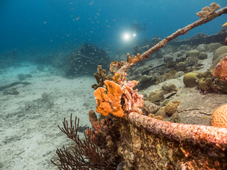 Ship wreck 