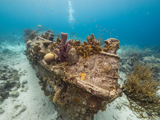 Ship wreck 