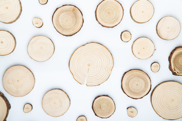 Pine tree cross-sections with annual rings on white background. Lumber piece close-up shot, top view.