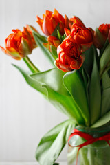 Red tulips on paper red background congratulation gift for the holiday