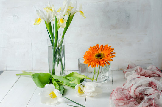 Beautiful spring flowers in glass vases on a white background.