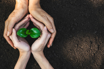Hands of person protection growing young plant on fertile soil for agriculture or save earth,nature concept.