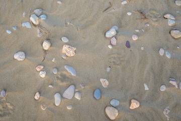 Fototapeta na wymiar Top view of sandy beach. Background. Sand stones