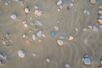 Fototapeta na wymiar Top view of sandy beach. Background. Sand stones