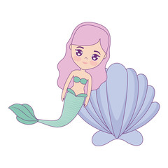 cute mermaid with seashell