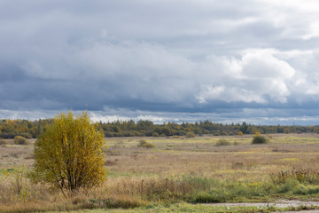 Strip of temperate climate