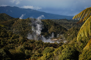 Landscape of New Zealand North Island