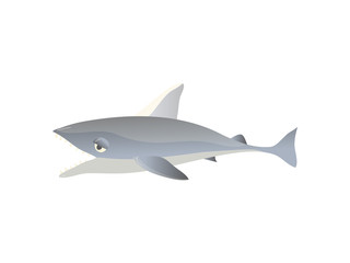 Cartoon shark on white background. Water life.