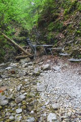 Fototapeta na wymiar Canyon of creek Sucha Biela. Slovak Paradise. Slovakia. Europe.