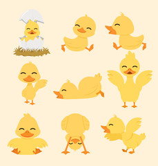 Cute yellow duck cartoon set