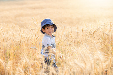 Naklejka na ściany i meble Asian Boy having fun and playing in a wheat field on summer.