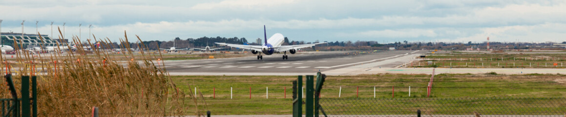 Fototapeta na wymiar modern passenger plane lands at airport