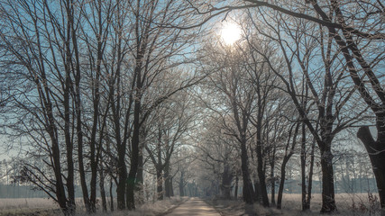 Frostige Strasse