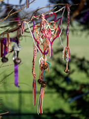 Colourful Ribbons Tied to a Tree