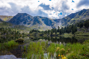 Fototapeta na wymiar beautiful summer landscape in the Altai mountains overlooking the lake