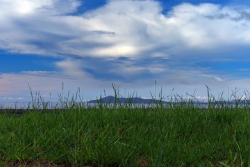 Fototapeta na wymiar Cape Hawke Forster region with a grassy foreground