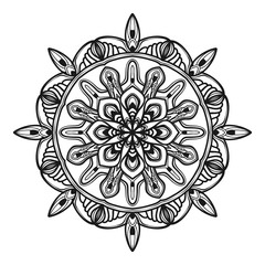 mandala flower illustration vector