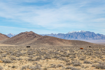 A View of Rural Nevada from the Extraterrestrial Highway
