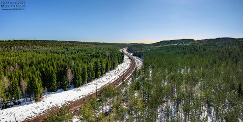 railroad traintracks in forest
