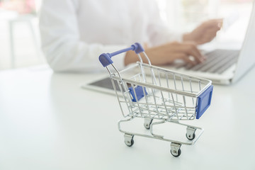 Young woman holding credit card and using laptop computer. Online shopping concept