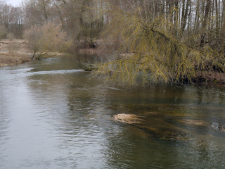 the beginning of spring. wild fast river among the thickets