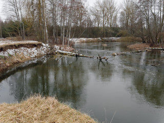the beginning of spring. wild fast river among the thickets