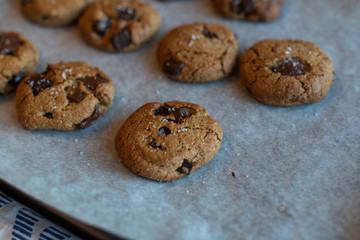 paleo chocolate chunk tahini cookie. salty cookie.