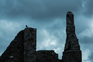 The Raven of Clonmacnoise