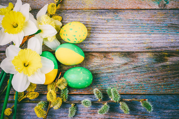 Easter composition of narcissus flower blooming willow twigs and Easter eggs with a pattern of yellow and green color on a wooden retro background with copy space close-up top view