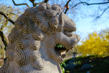 Fototapeta na wymiar chinese lion statue head
