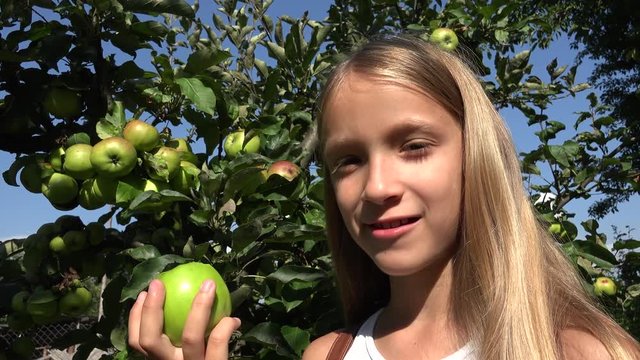 Child Eating Apple, Kid in Orchard, Farmer Girl Studying Fruits in Tree
