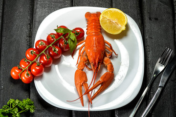  crayfish on a plate on a black background