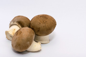 freshly picked mushrooms ready to be washed and cooked