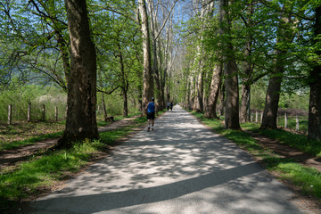 Bosnia and Herzegovina, public park Vrelo Bosne, near Sarajevo.