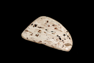 macro mineral stone Petrified wood on a black background