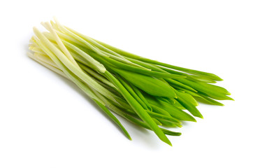 Allium ursinum, known as wild garlic, ramsons, buckrams, broad-leaved garlic, wood garlic, bear leek or bear's garlic.