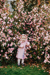 Pretty little girl wearing pink bonnet and pink dress in blossom bush of pink camelia in sunny...